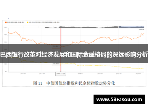 巴西银行改革对经济发展和国际金融格局的深远影响分析